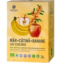Apple, Sea Buckthorn and Banana juice 3L BIO
